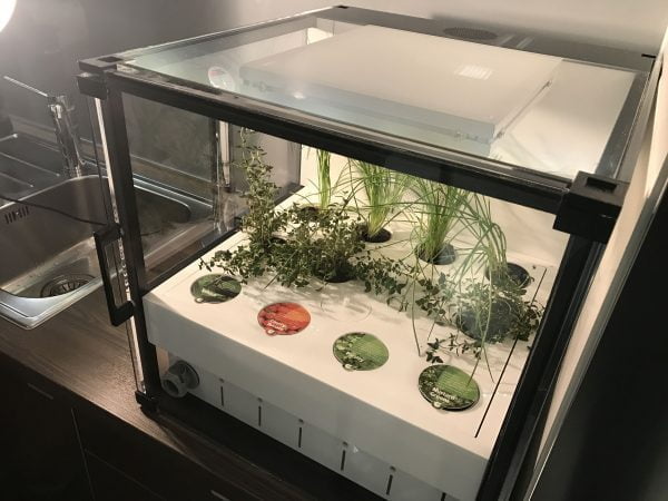 CityCrop