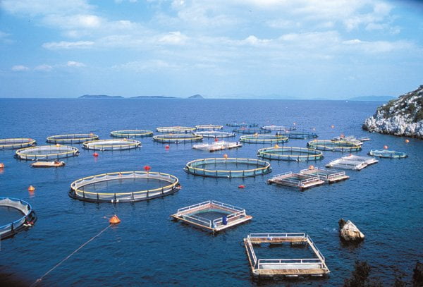 Aquaculture