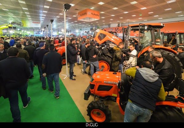 agrotikateliko