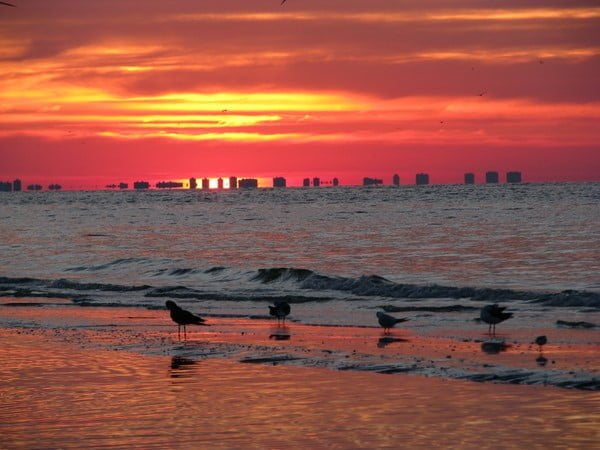 sanibel