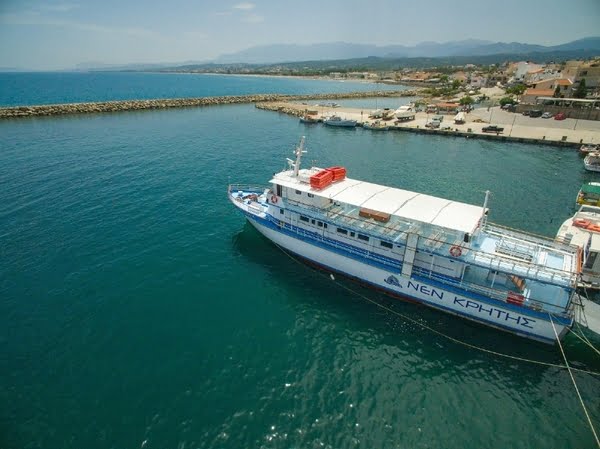 appolon 600