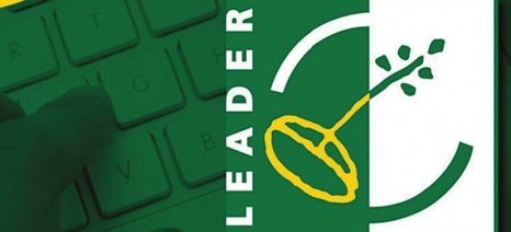 leader2_0