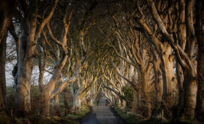 irland