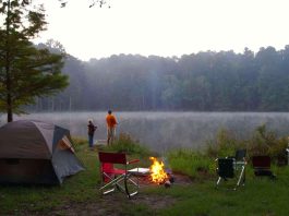 Camping: Το AI αλλάζει τον τρόπο που οργανώνονται τα ταξίδια – Τι ζητούν πλέον οι ταξιδιώτες