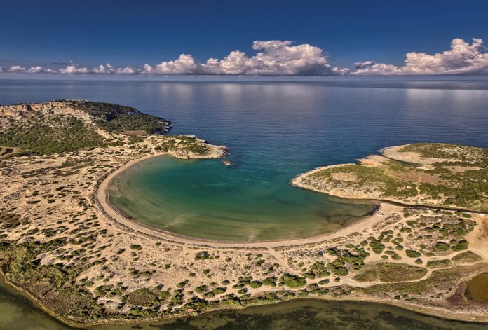 navarino 1000