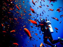 Κύπρος : Στοχεύει στον καταδυτικό τουρισμό κυριαρχώντας στη Μεσόγειο