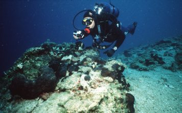 Δήμος Μαλεβιζίου : Αποκτά καταδυτικό πάρκο στην Αγία Πελαγία
