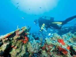 Ποιος παράγοντας αποτελεί μοχλό ανάπτυξη για τον τουρισμό αυτόνομης κατάδυσης