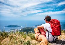 Περισσότεροι θα αγοράσουν ταξιδιωτική ασφάλιση το 2020