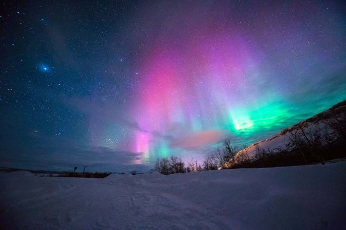 canadas vorio selas