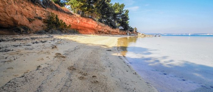 paralia