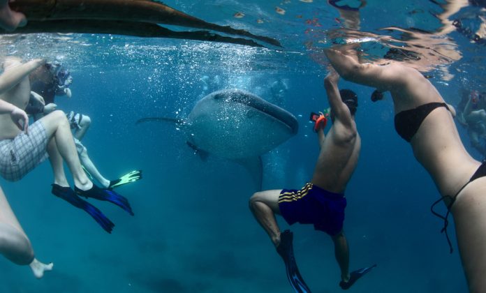 cebu-philippines2