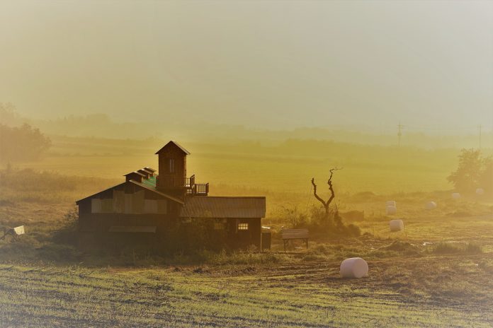 ranch