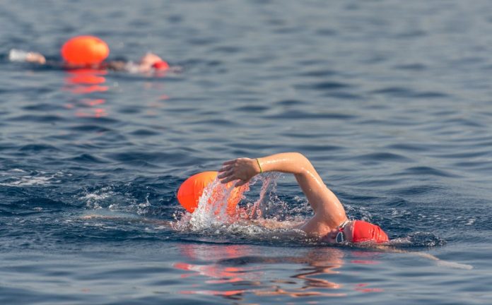 Open Water Swimming_by Elias Lefas