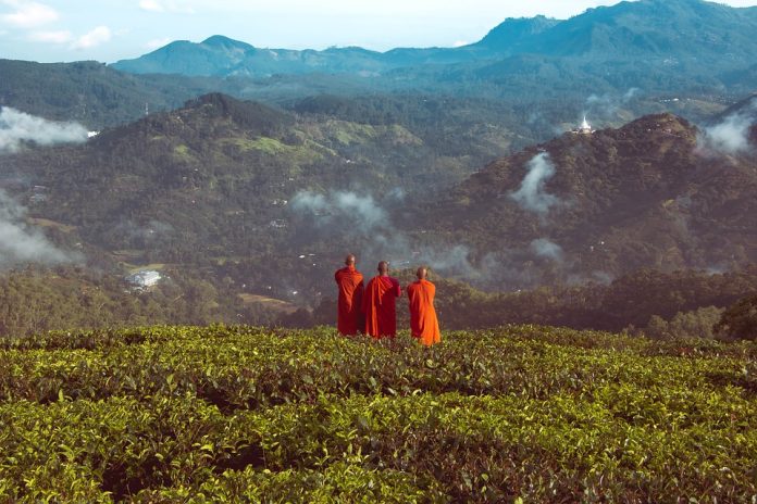 monks-5404722_960_720