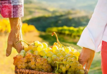 Νέα σεζόν και νέες εμπειρίες από το Costa Navarino