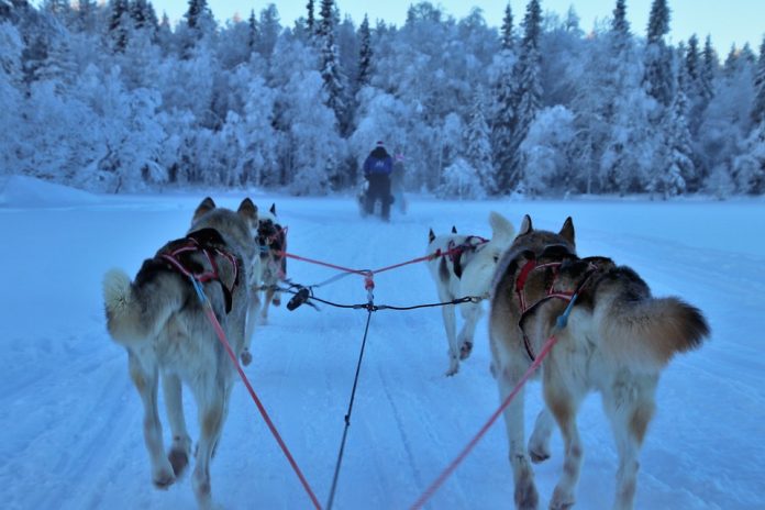 sled-3953650_960_720