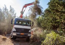 Πρωτοφανείς καθαρισμοί στις δασικές εκτάσεις του Δήμου Κηφισιάς