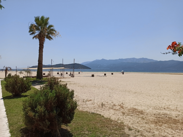 beach- bar