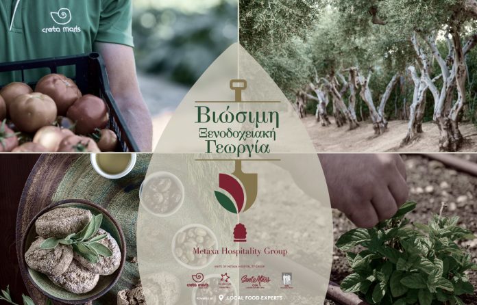 Sustainable Hotel Farming_Hero