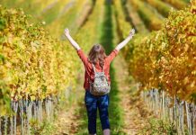 Πώς διαμορφώνεται ο οινοτουρισμός παγκοσμίως | Μοχλός εσόδων για παραγωγούς