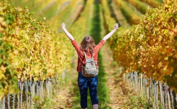 Πώς διαμορφώνεται ο οινοτουρισμός παγκοσμίως | Μοχλός εσόδων για παραγωγούς