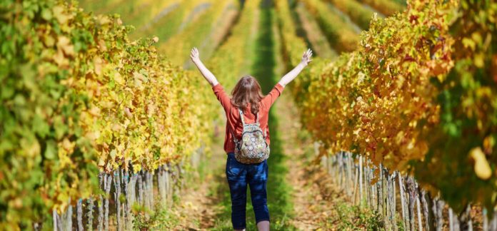 wine-tour-tuscany-1140x530