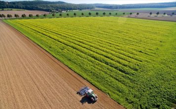 Νέα ΚΑΠ 2028–2034: Στην Πάτρα ο διάλογος για τον ρόλο των Περιφερειών