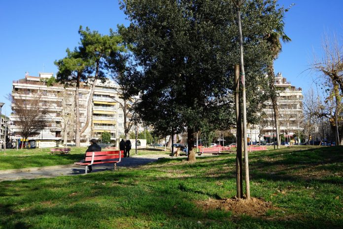 DENDROFYTEYSH KRHTHS (2)
