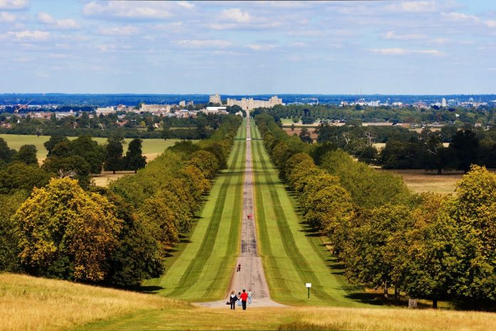 Windsor_Great_Park
