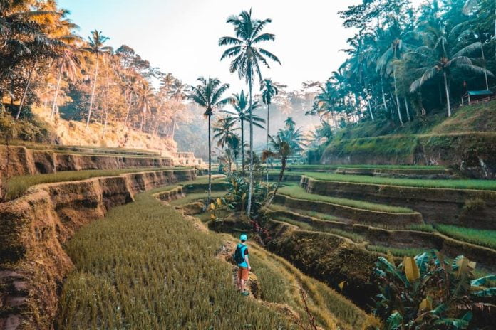 eco-geotourism