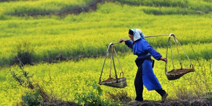 china-farmer-carrying-fertilizer