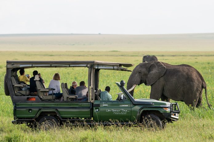 Safari