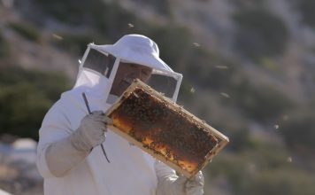 Η ανάπτυξη της μελισσοκομίας στο επίκεντρο εκδήλωσης στη Λιβαδειά