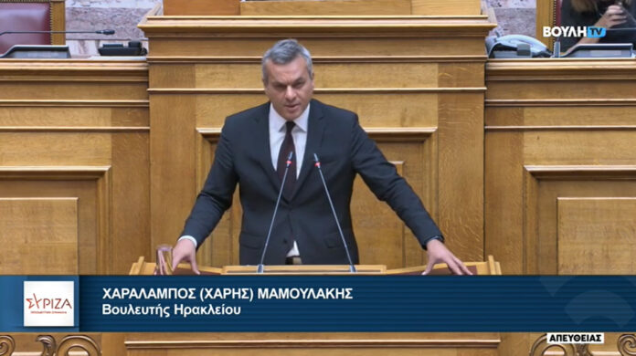 mamoulakis_vouli