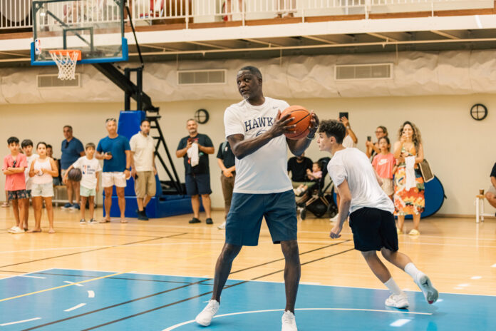 basket-willson