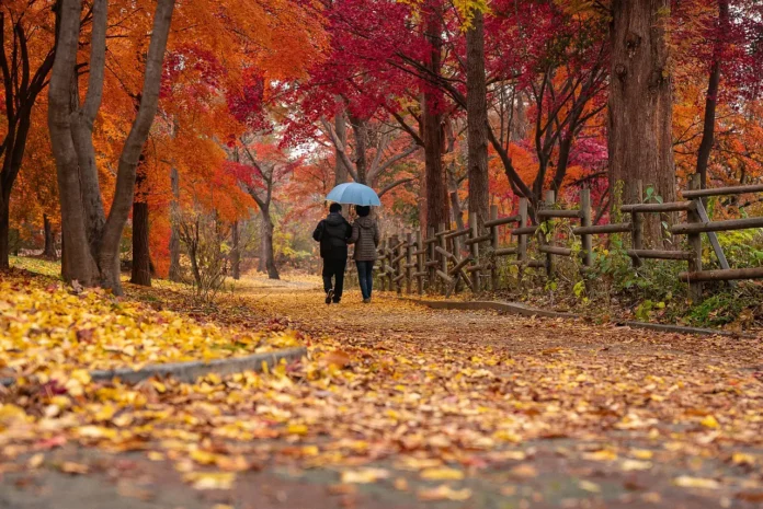 Autumn_Couple_Walk_Fall_Destinations