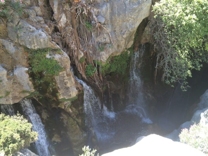 preveli