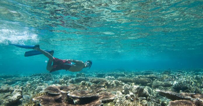 SNORKELING