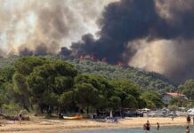 Σε ποιες περιοχές είναι πολύ υψηλός o κίνδυνος πυρκαγιάς, αύριο