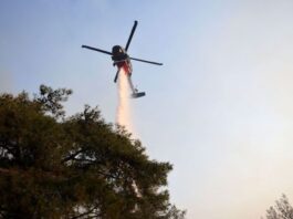 Πόσο επηρεάσαν οι πυρκαγιές σε Ελλάδα τις αφίξεις από Βρετανία