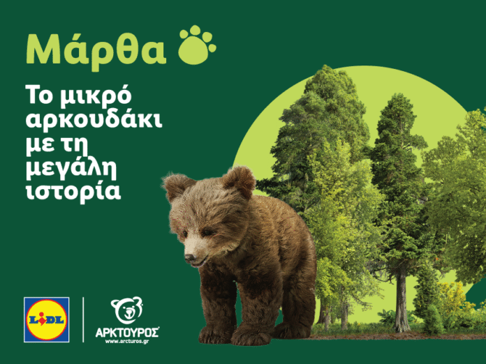 ΔΤ_Η Lidl Ελλάς στήριξε την επιτυχή επανένταξη της Μάρθας στη φύση, σε συνεργασία με τον ΑΡΚΤΟΥΡΟ