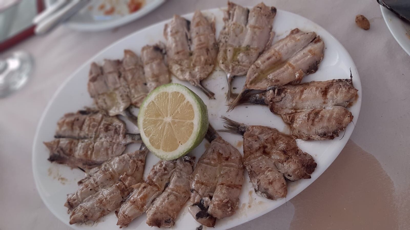 Ψαροταβέρνα «OSTRIA»