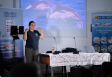 H Blue Star Ferries στους Φούρνους Κορσεών: Εκπαιδευτική Δράση για την ενίσχυση των τοπικών κοινωνιών