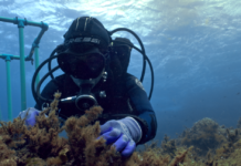 «Μπλε Δάση»: Πρεμιέρα για τη νέα σειρά ντοκιμαντέρ της COSMOTE TV