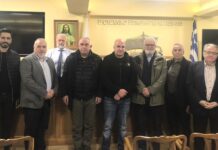 Ε.Ε.ΣΥ.Μ: Συνεδρίαση ΔΣ με έμφαση στον σχεδιασμό νέων δράσεων