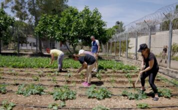 Social Farming 360°»: Ένα ντοκιμαντέρ για τη δύναμη της εκπαίδευσης και της κοινωνικής επανένταξης