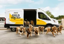 Golden Retrievers υποδέχονται τους ταξιδιώτες στα αεροδρόμια – Η πρωτότυπη «Gold Squad» της Hertz