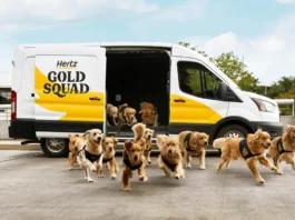 Golden Retrievers υποδέχονται τους ταξιδιώτες στα αεροδρόμια – Η πρωτότυπη «Gold Squad» της Hertz
