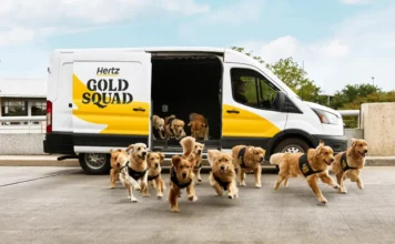 Golden Retrievers υποδέχονται τους ταξιδιώτες στα αεροδρόμια – Η πρωτότυπη «Gold Squad» της Hertz
